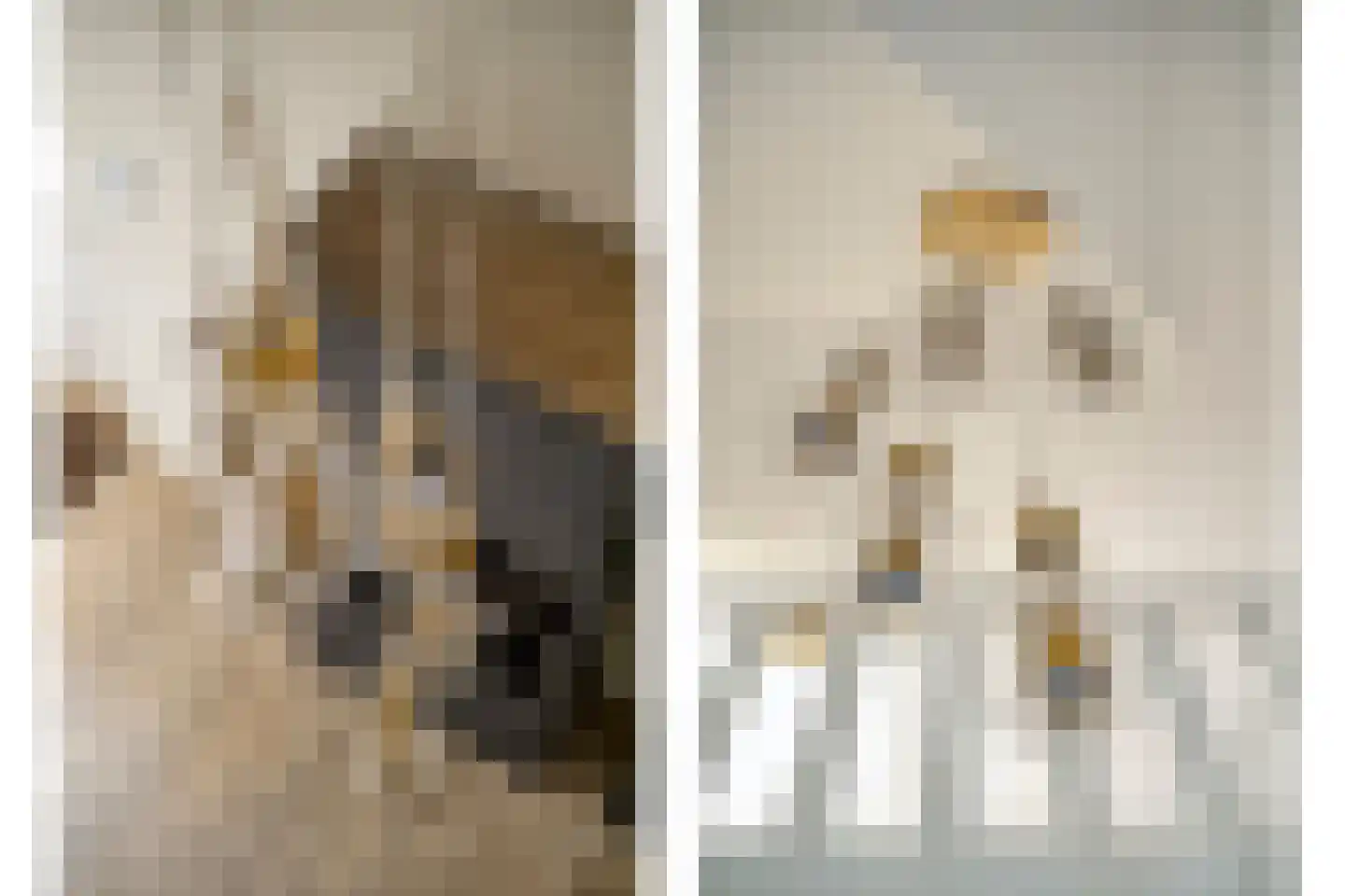 Loensweg 18 Nieuwerkerk thumbnail 31