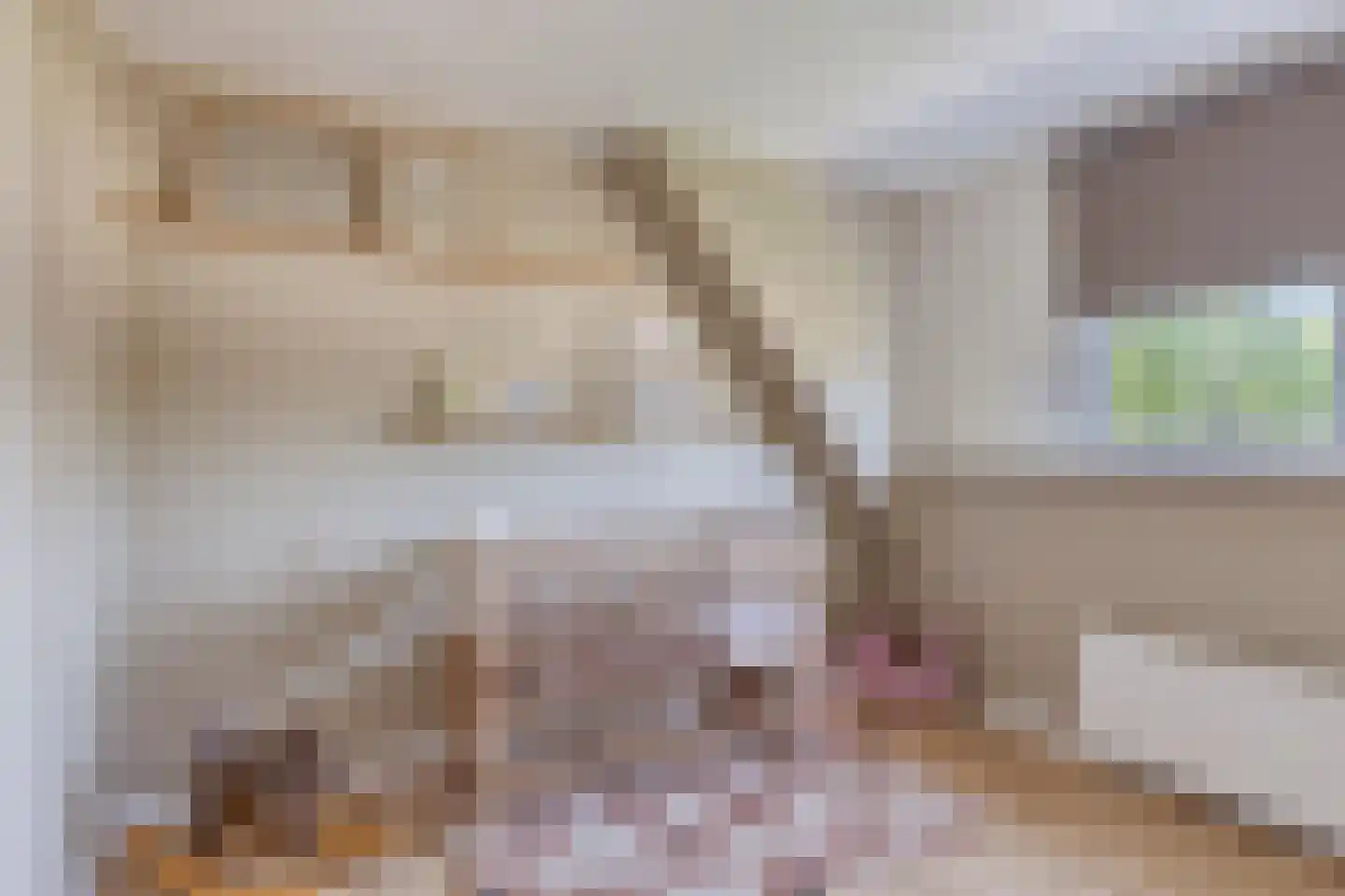 Loensweg 18 Nieuwerkerk thumbnail 41