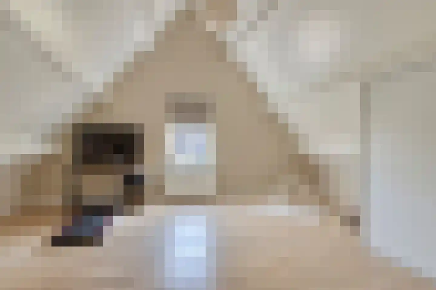 Loensweg 18 Nieuwerkerk thumbnail 46
