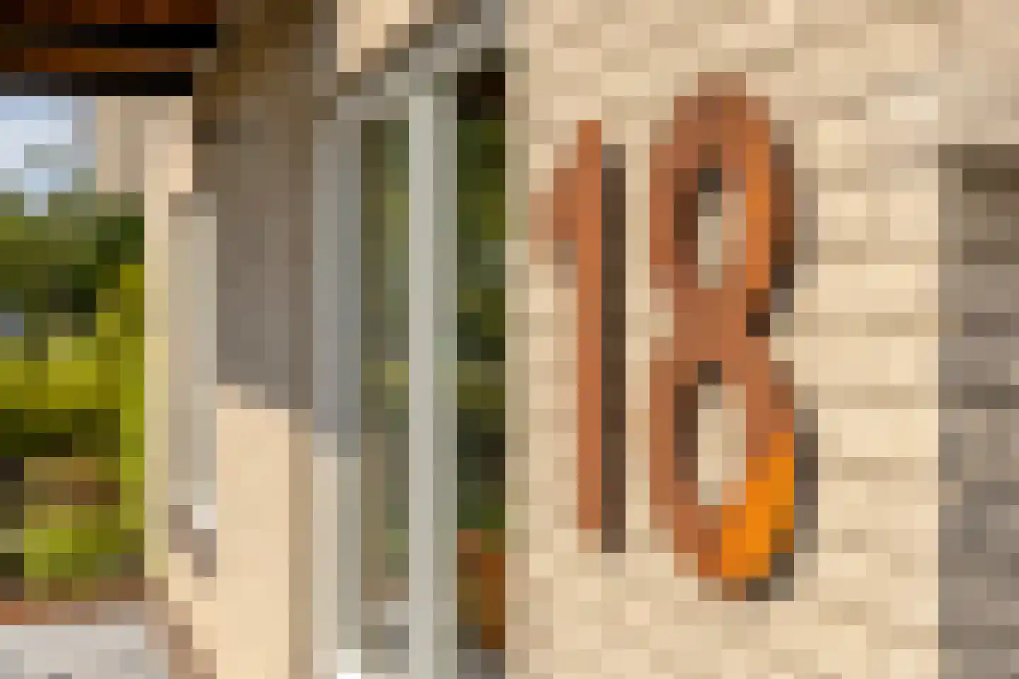 Loensweg 18 Nieuwerkerk thumbnail 66