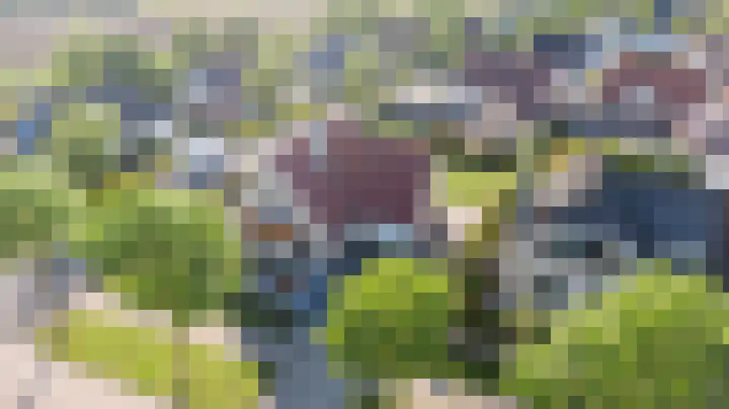 Loensweg 18 Nieuwerkerk thumbnail 69