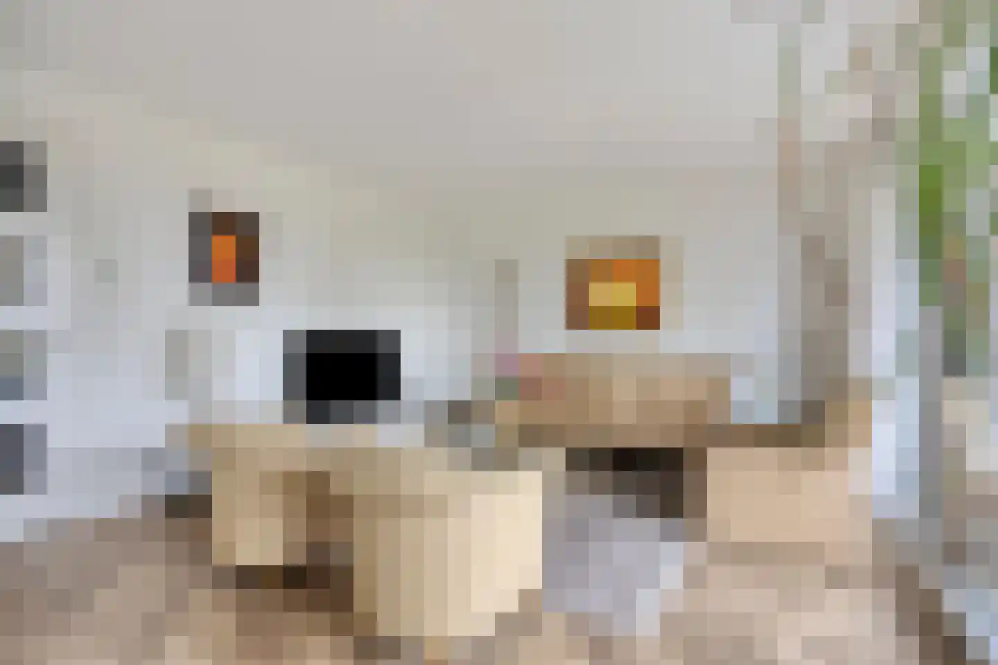 Loesbleik 140 Roermond thumbnail 18