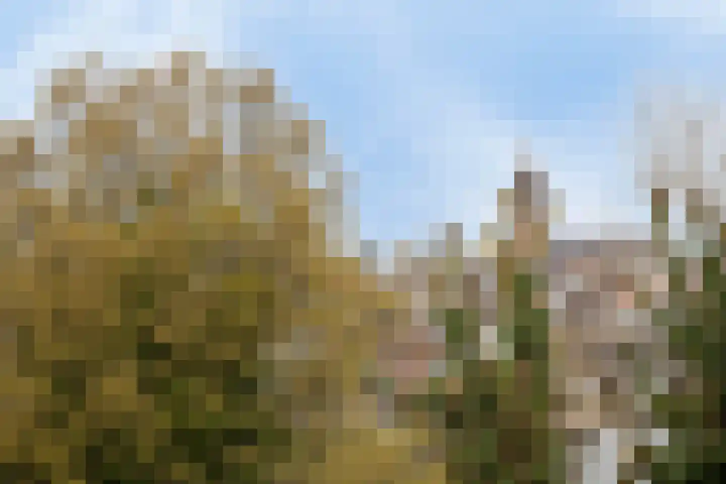 Loesbleik 140 Roermond thumbnail 22