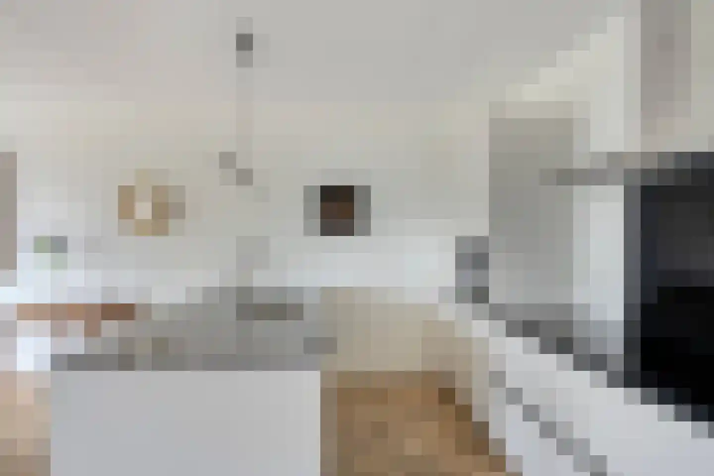 Loesbleik 140 Roermond thumbnail 30