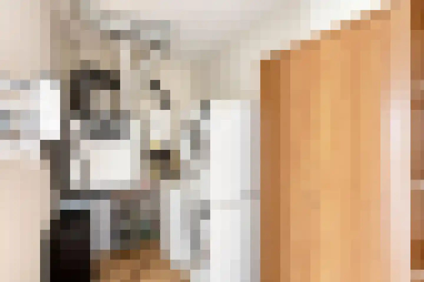 Loesbleik 140 Roermond thumbnail 31