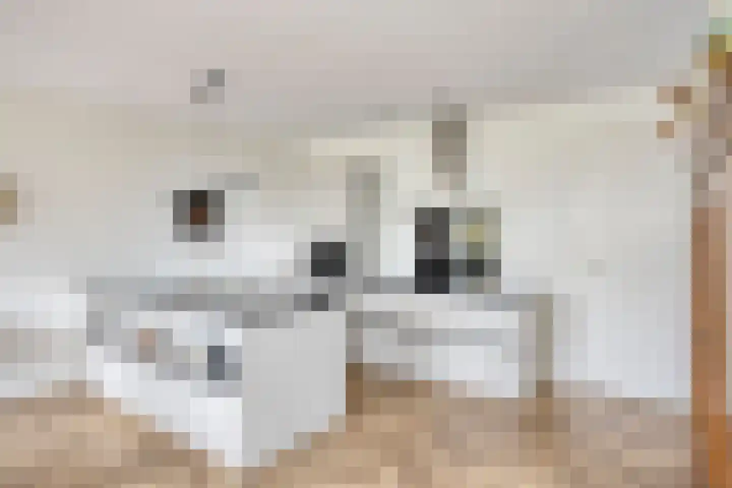 Loesbleik 140 Roermond thumbnail 4