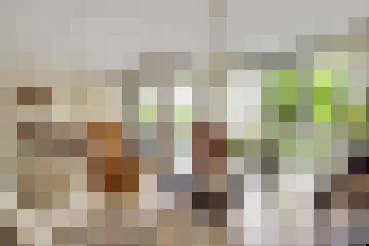 Loesbleik 52 Roermond thumbnail 10