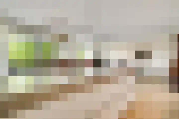 Loesbleik 52 Roermond thumbnail 18