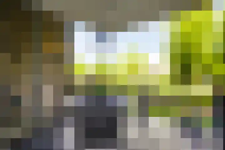 Loesbleik 52 Roermond thumbnail 19