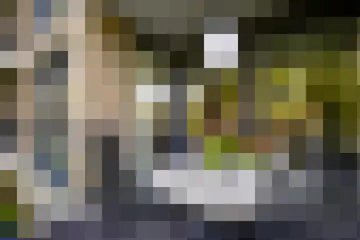 Loesbleik 52 Roermond thumbnail 20