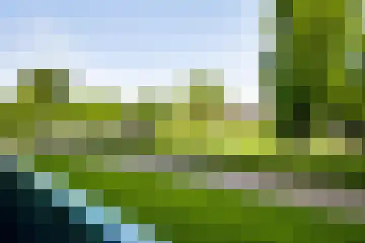 Loesbleik 52 Roermond thumbnail 21