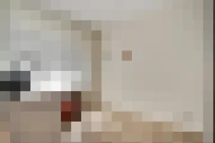 Loesbleik 52 Roermond thumbnail 24