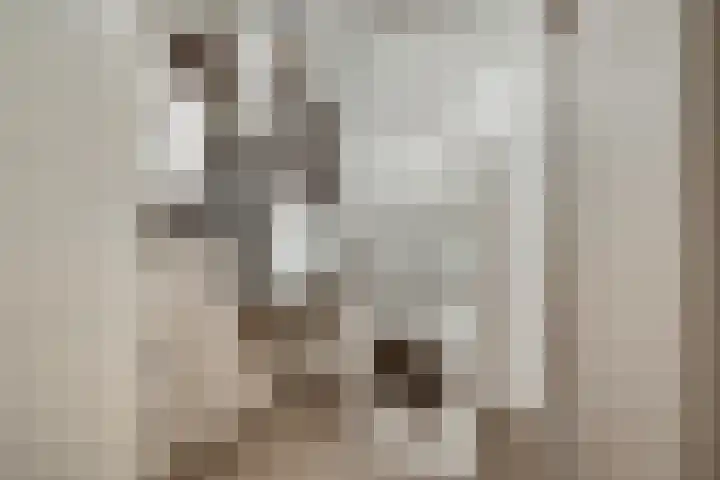 Loesbleik 52 Roermond thumbnail 27
