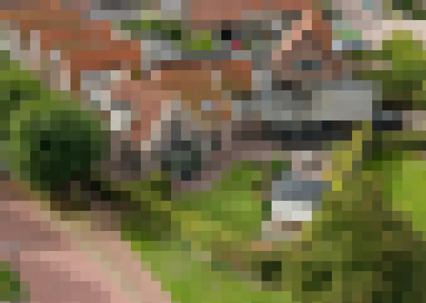Loet 25 Uitgeest