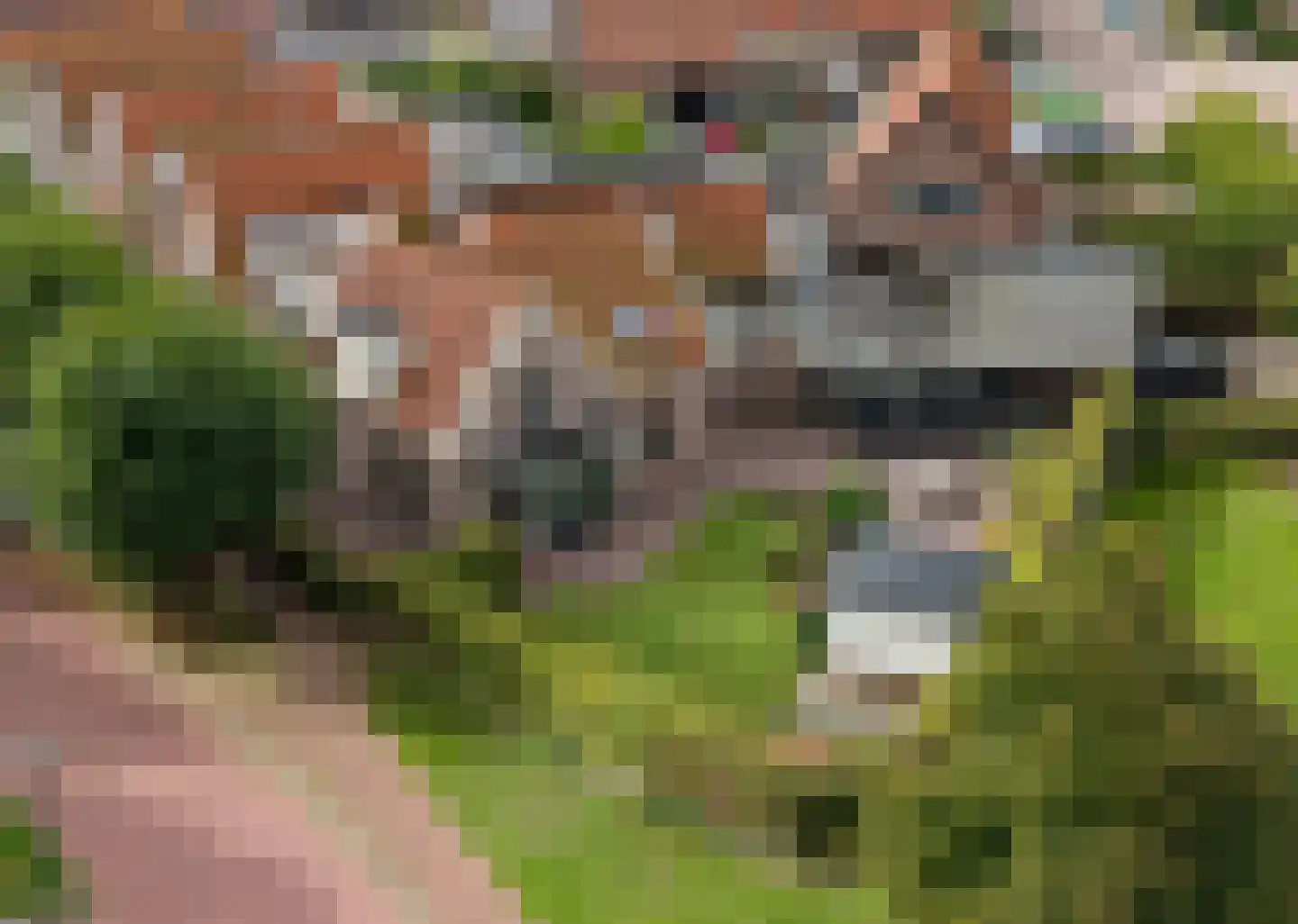 Loet 25 Uitgeest foto 2