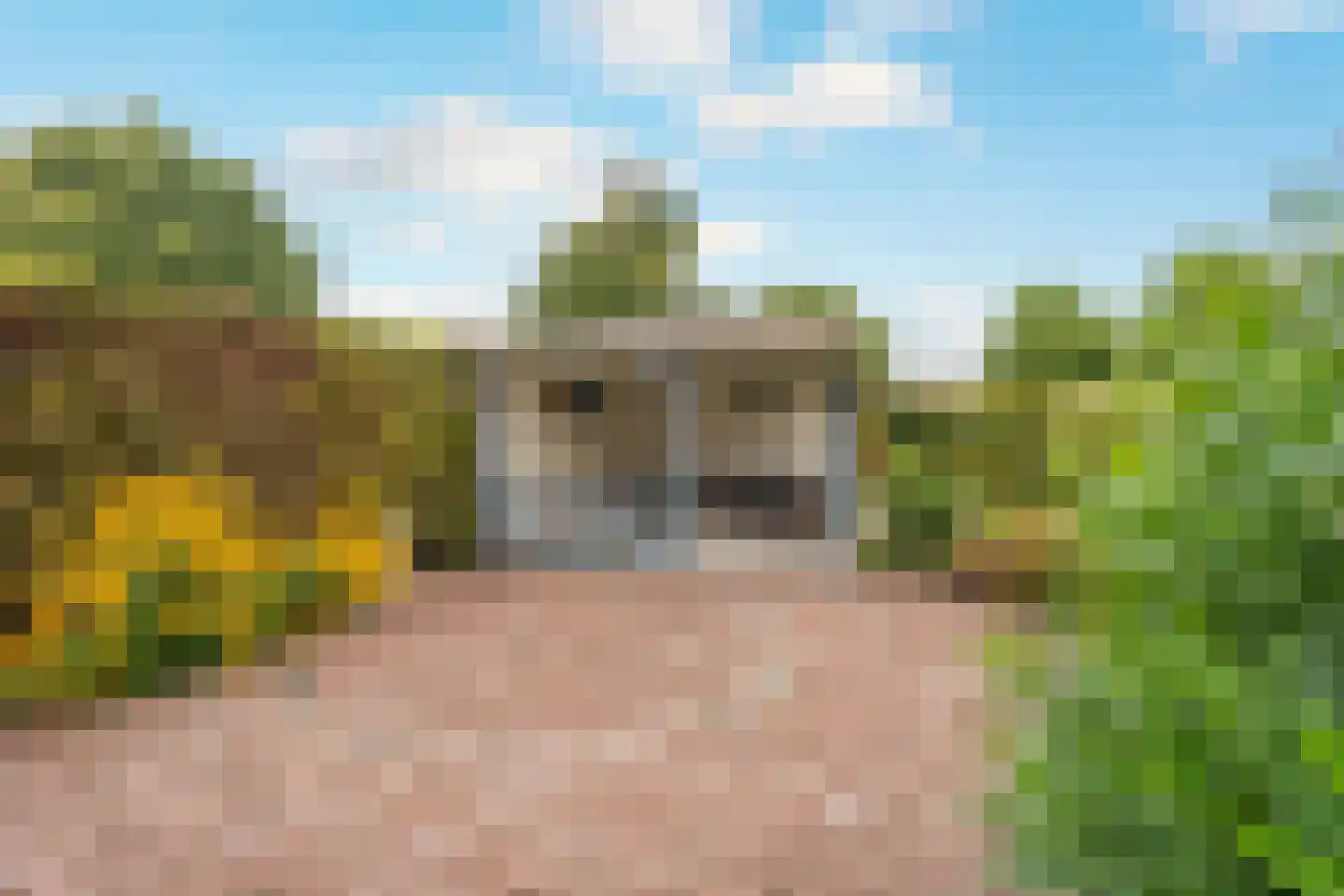 Loet 25 Uitgeest thumbnail 21