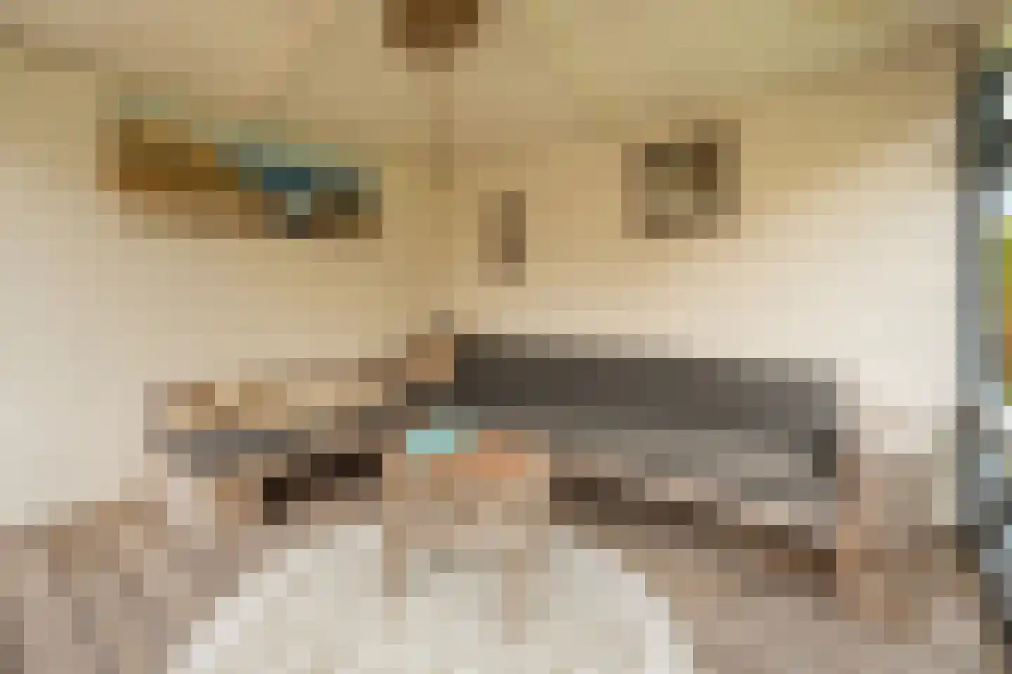 Loet 25 Uitgeest thumbnail 22