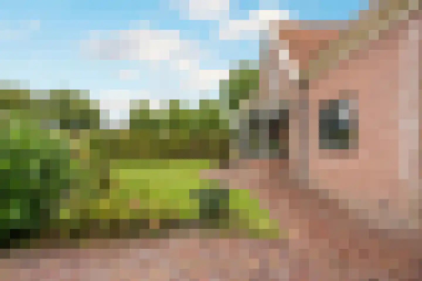 Loet 25 Uitgeest thumbnail 24