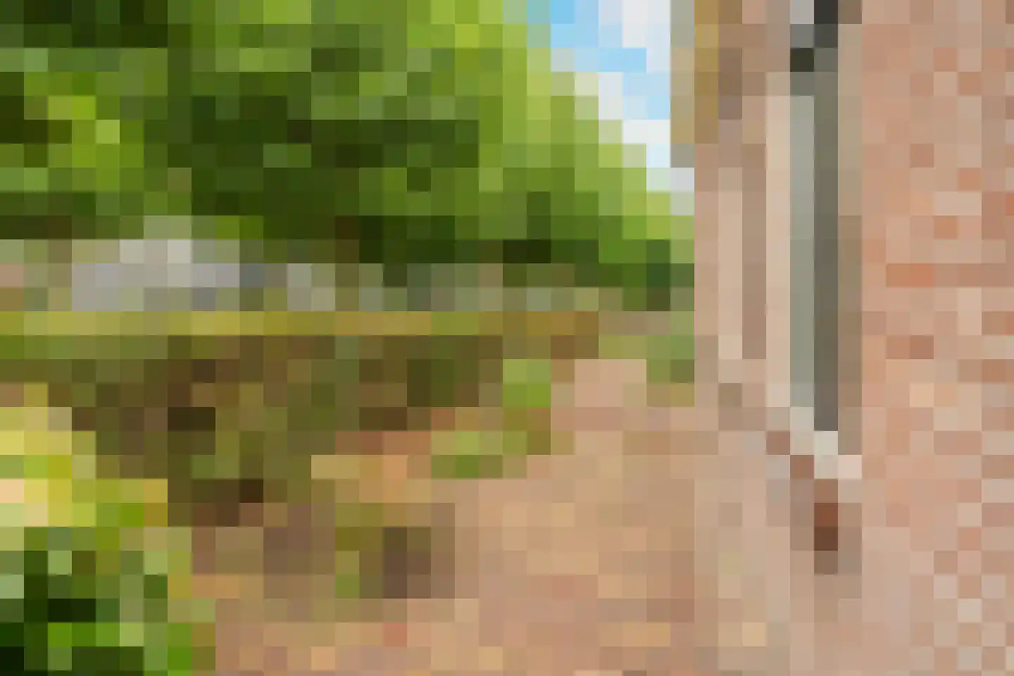 Loet 25 Uitgeest thumbnail 25