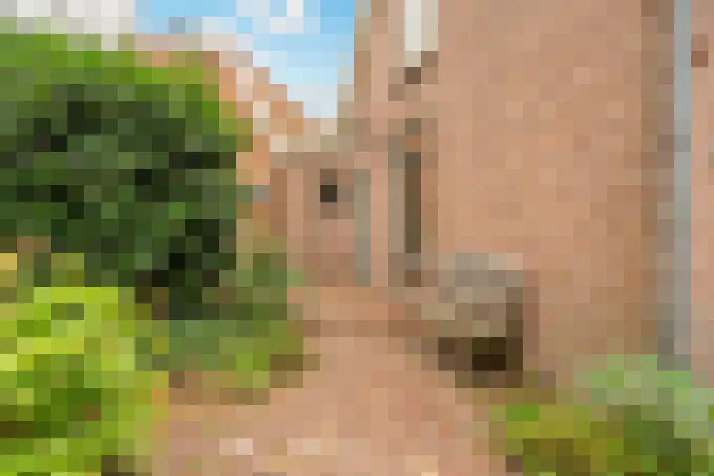 Loet 25 Uitgeest thumbnail 26