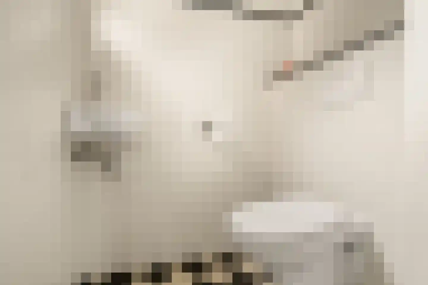 Loet 25 Uitgeest thumbnail 28