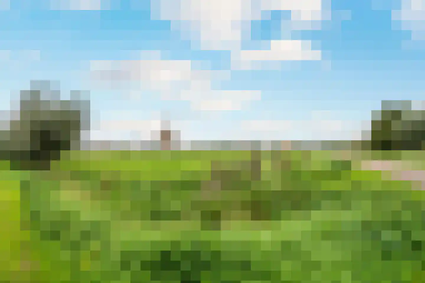 Loet 25 Uitgeest thumbnail 50