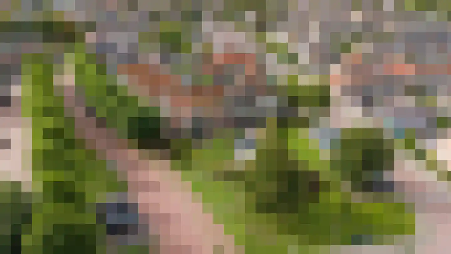 Loet 25 Uitgeest thumbnail 51