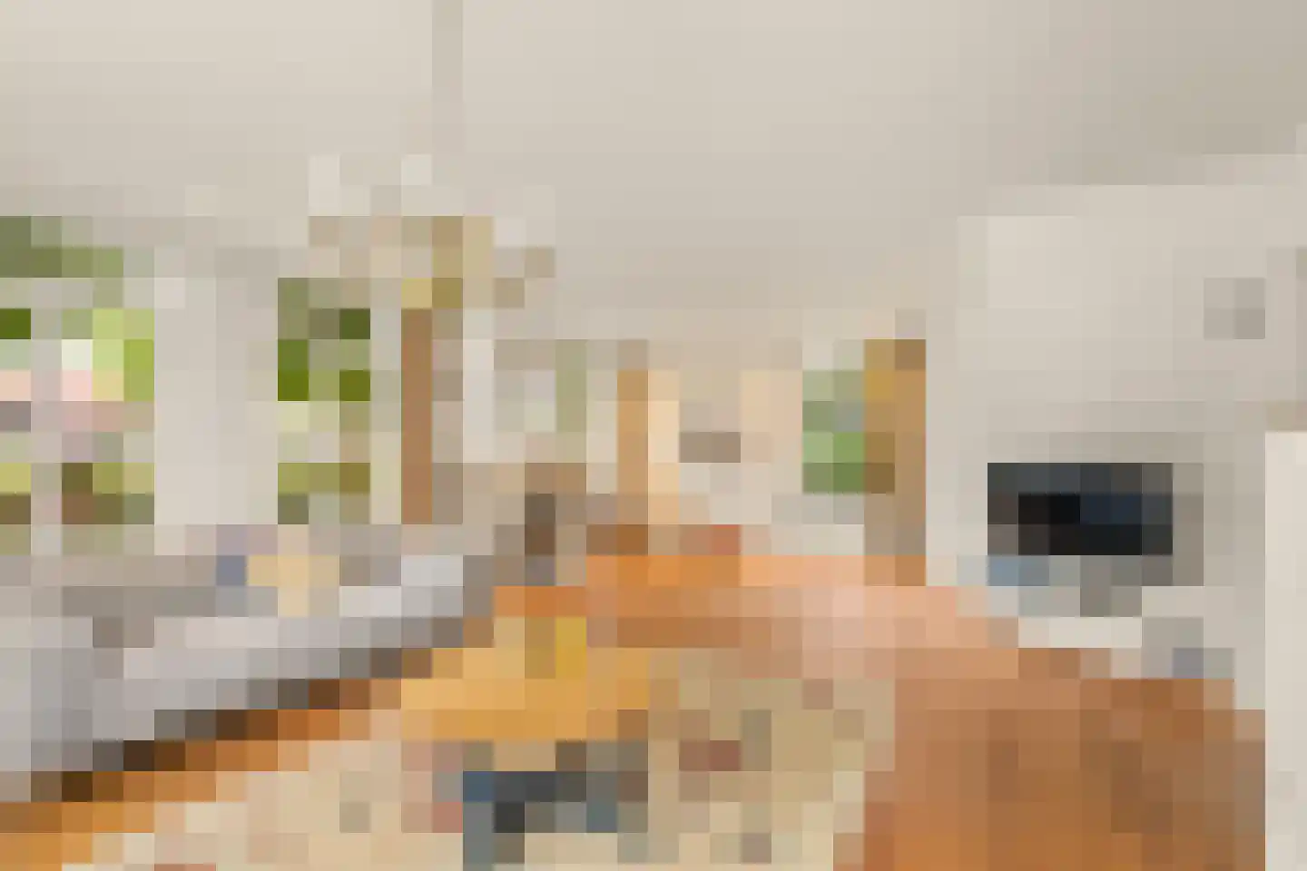 Loet 25 Uitgeest thumbnail 8
