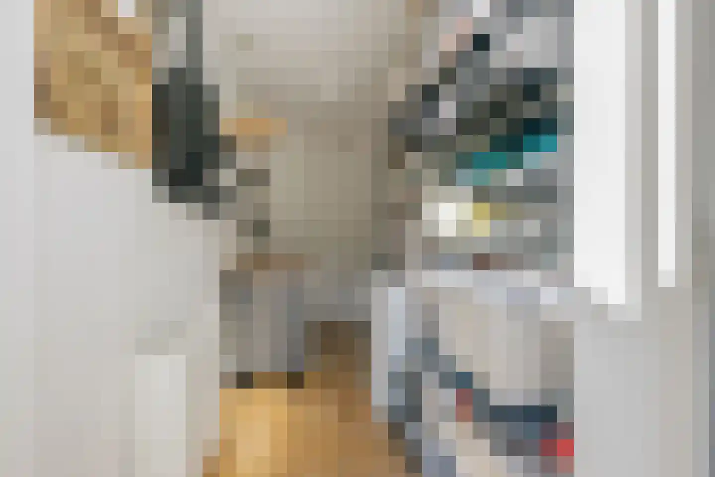 Loet C. Barnstijnstraat 11 Amsterdam thumbnail 14