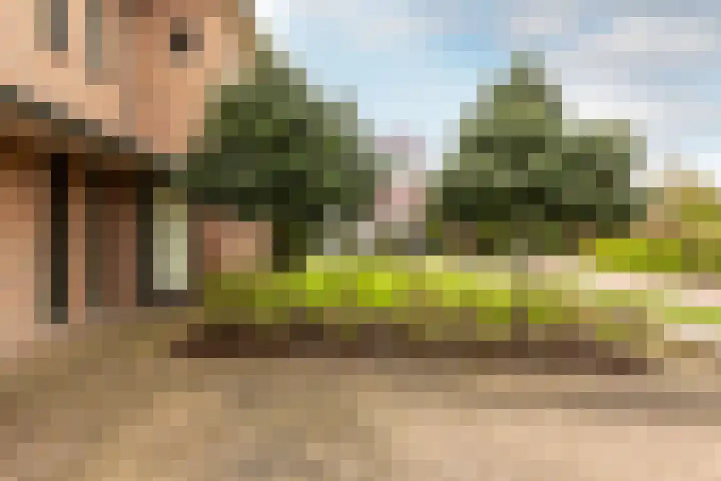 Loetbos 3 Almere thumbnail 11