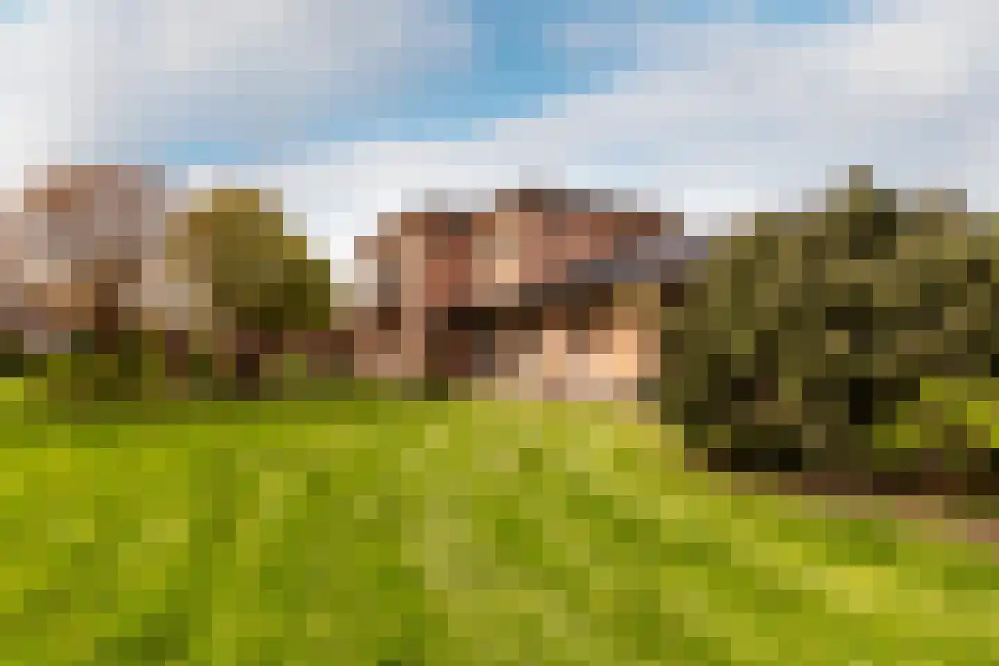 Loetbos 3 Almere thumbnail 42