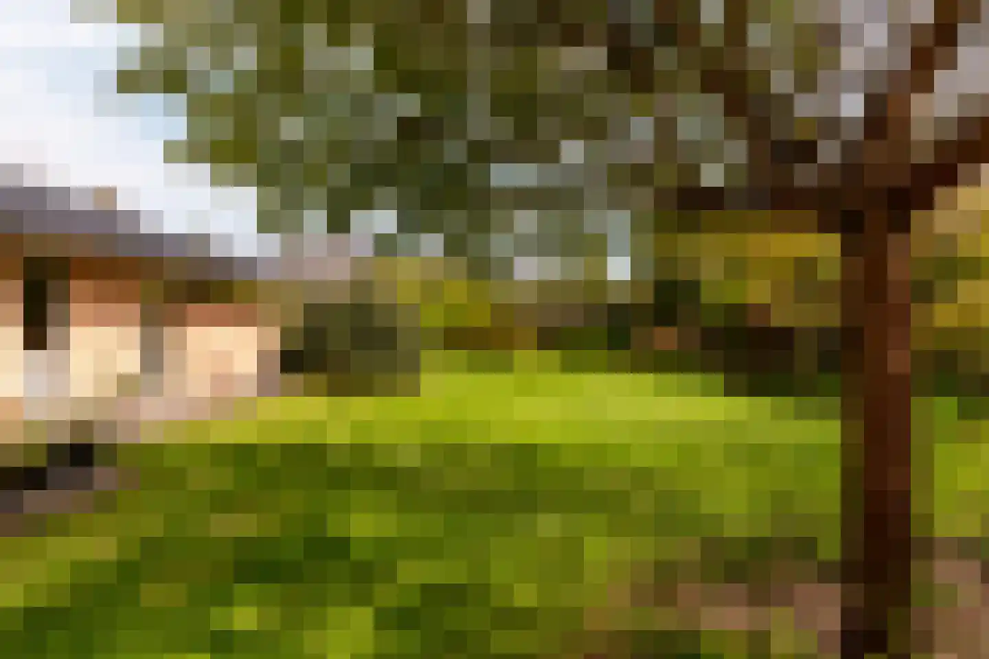 Loetbos 3 Almere thumbnail 46
