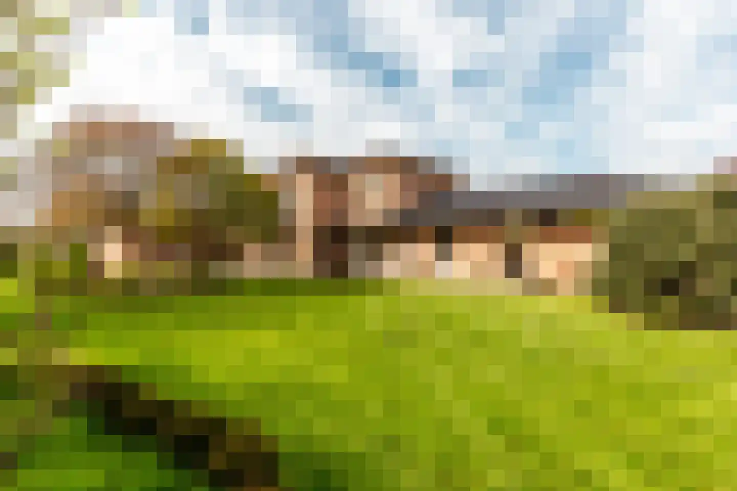 Loetbos 3 Almere thumbnail 47