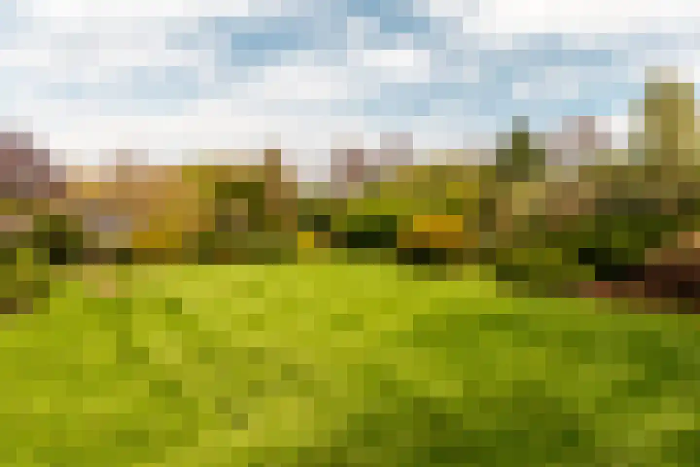 Loetbos 3 Almere thumbnail 48