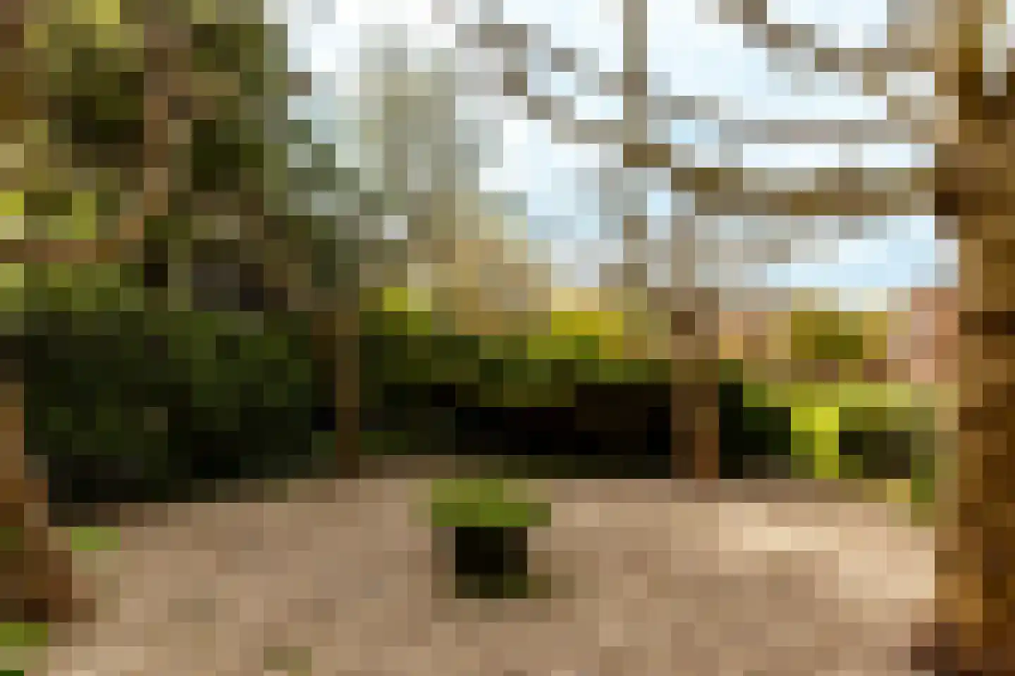 Loetbos 3 Almere thumbnail 49