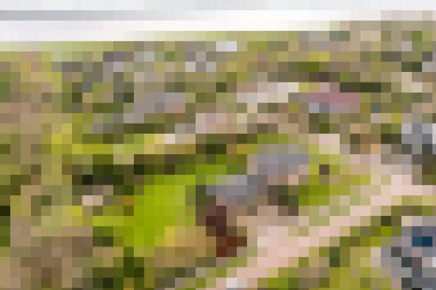 Loetbos 3 Almere thumbnail 5
