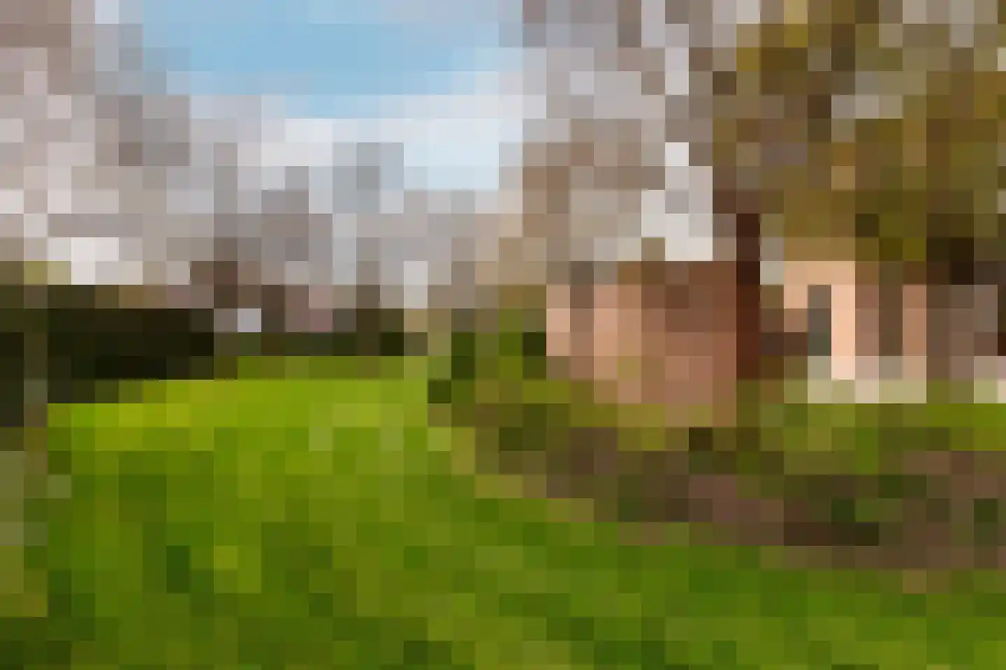 Loetbos 3 Almere thumbnail 50