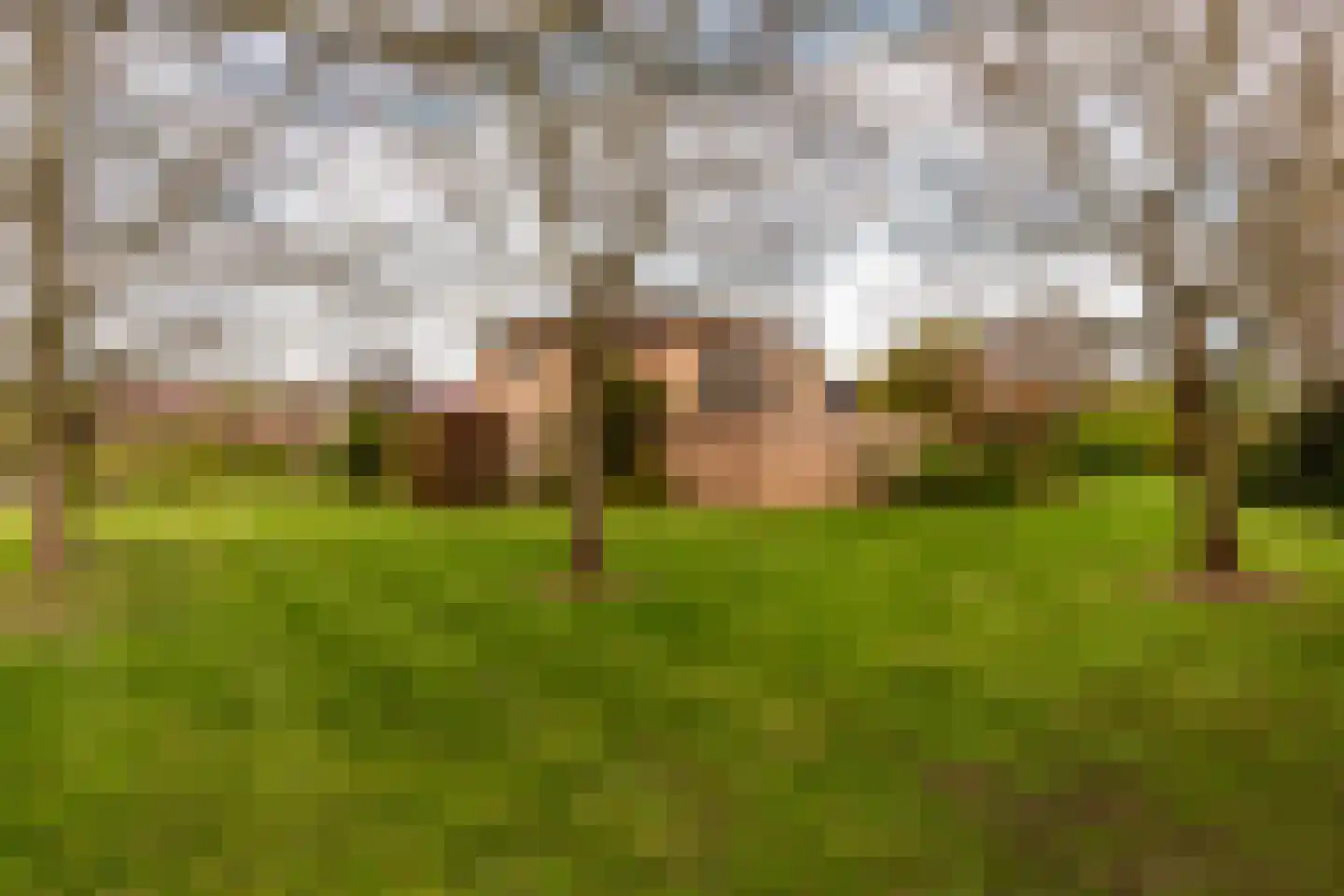 Loetbos 3 Almere thumbnail 51