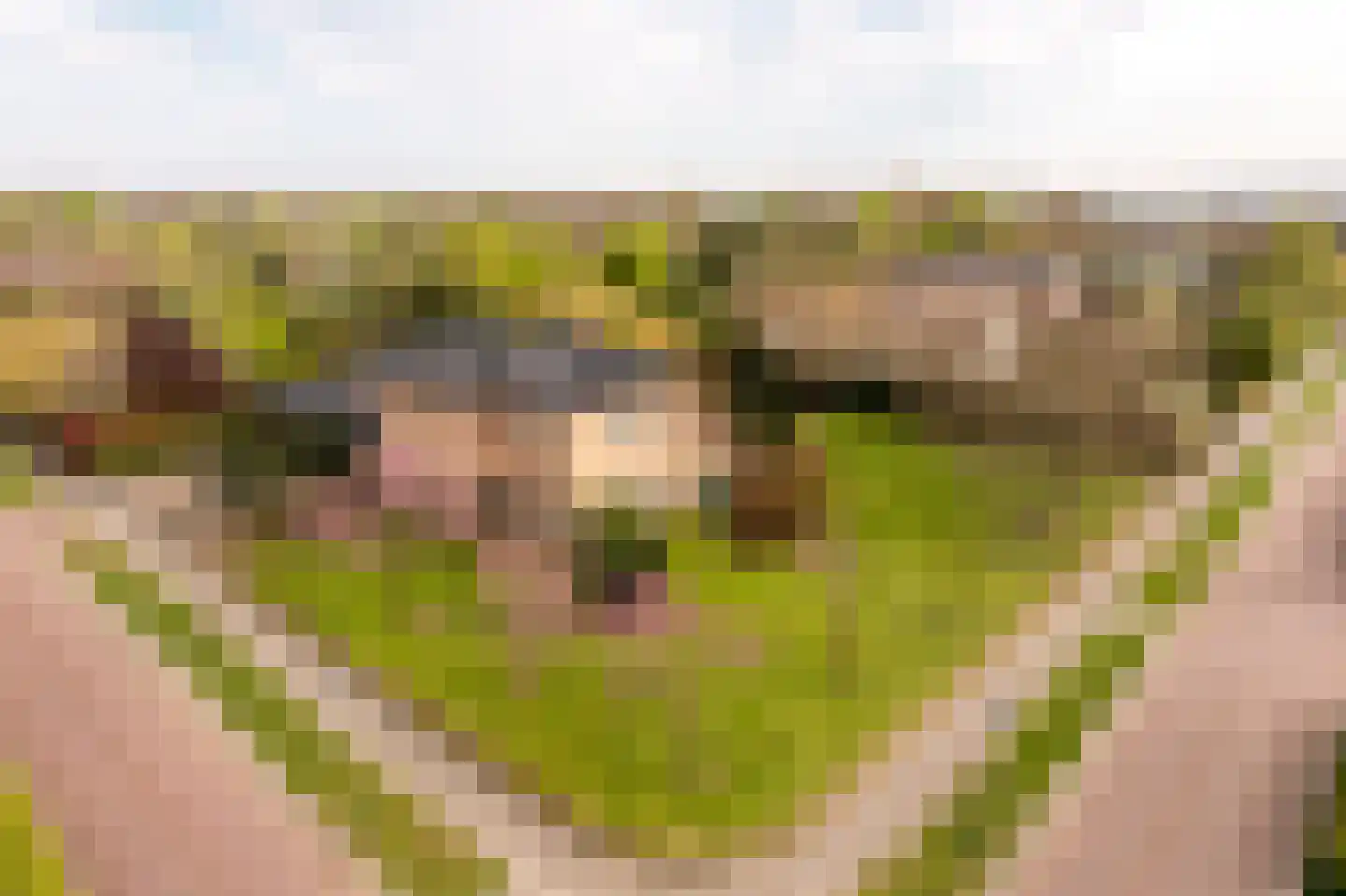 Loetbos 3 Almere thumbnail 56