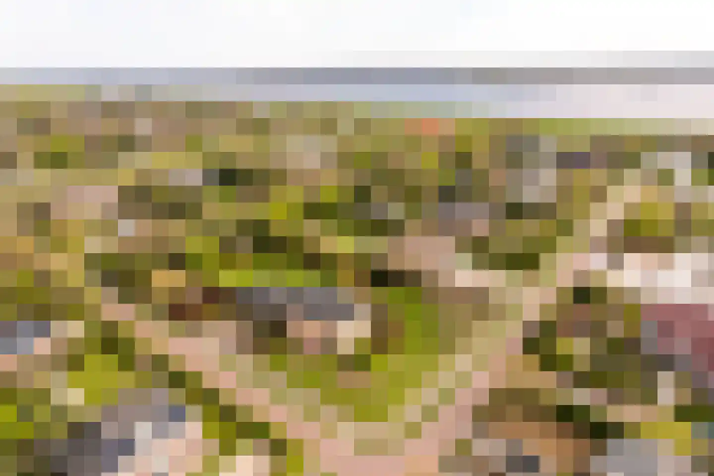 Loetbos 3 Almere thumbnail 58