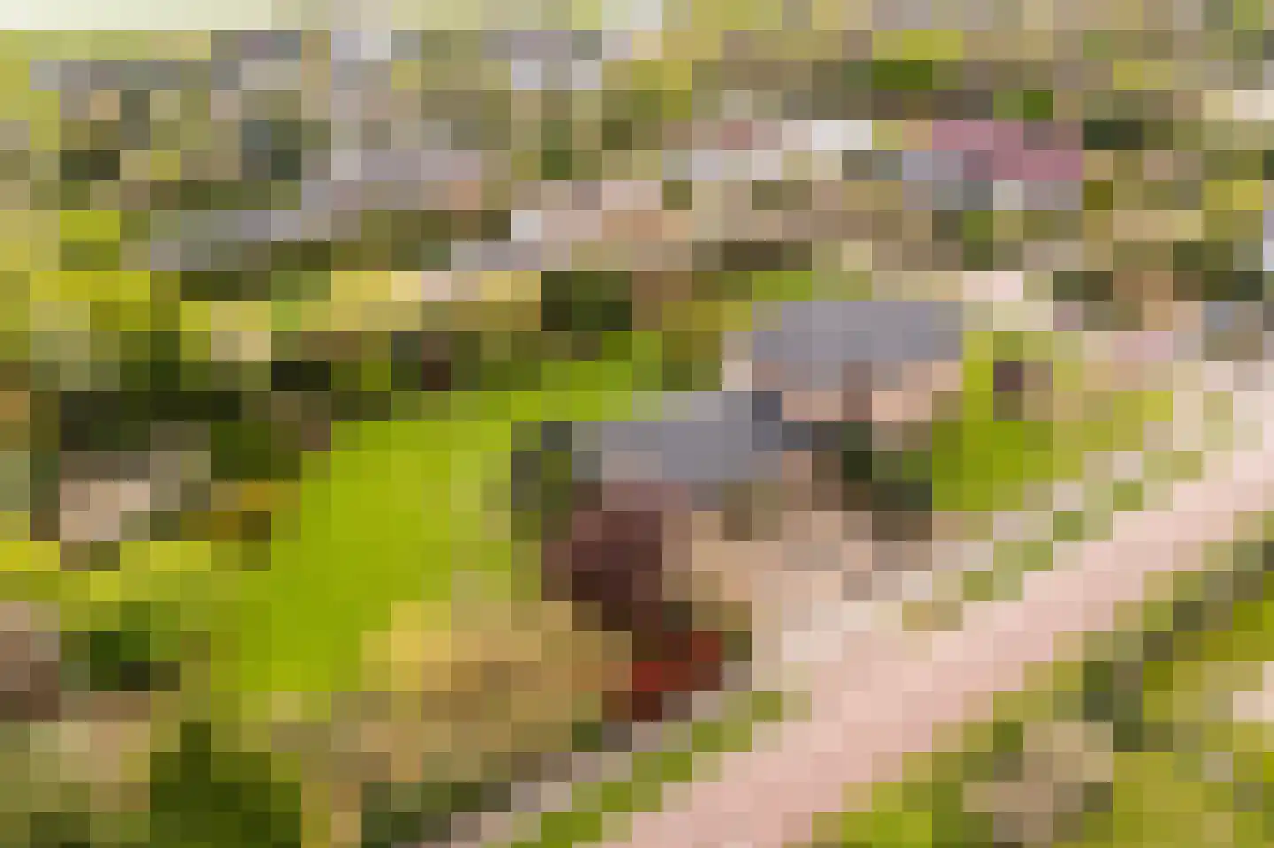 Loetbos 3 Almere thumbnail 59