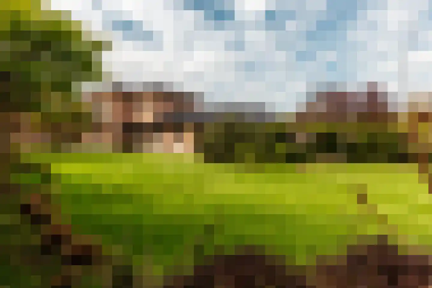 Loetbos 3 Almere thumbnail 6