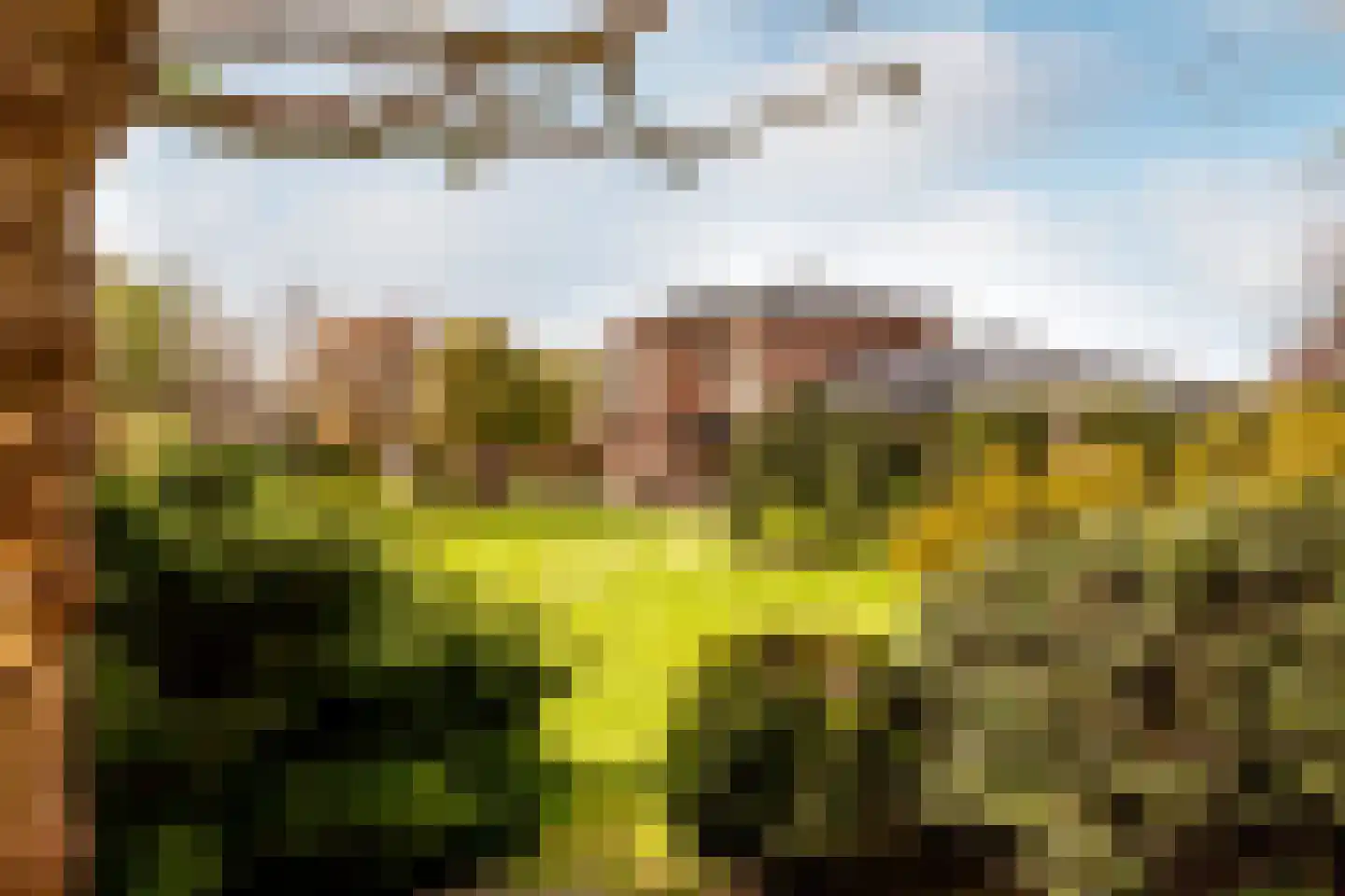 Loetbos 3 Almere thumbnail 7