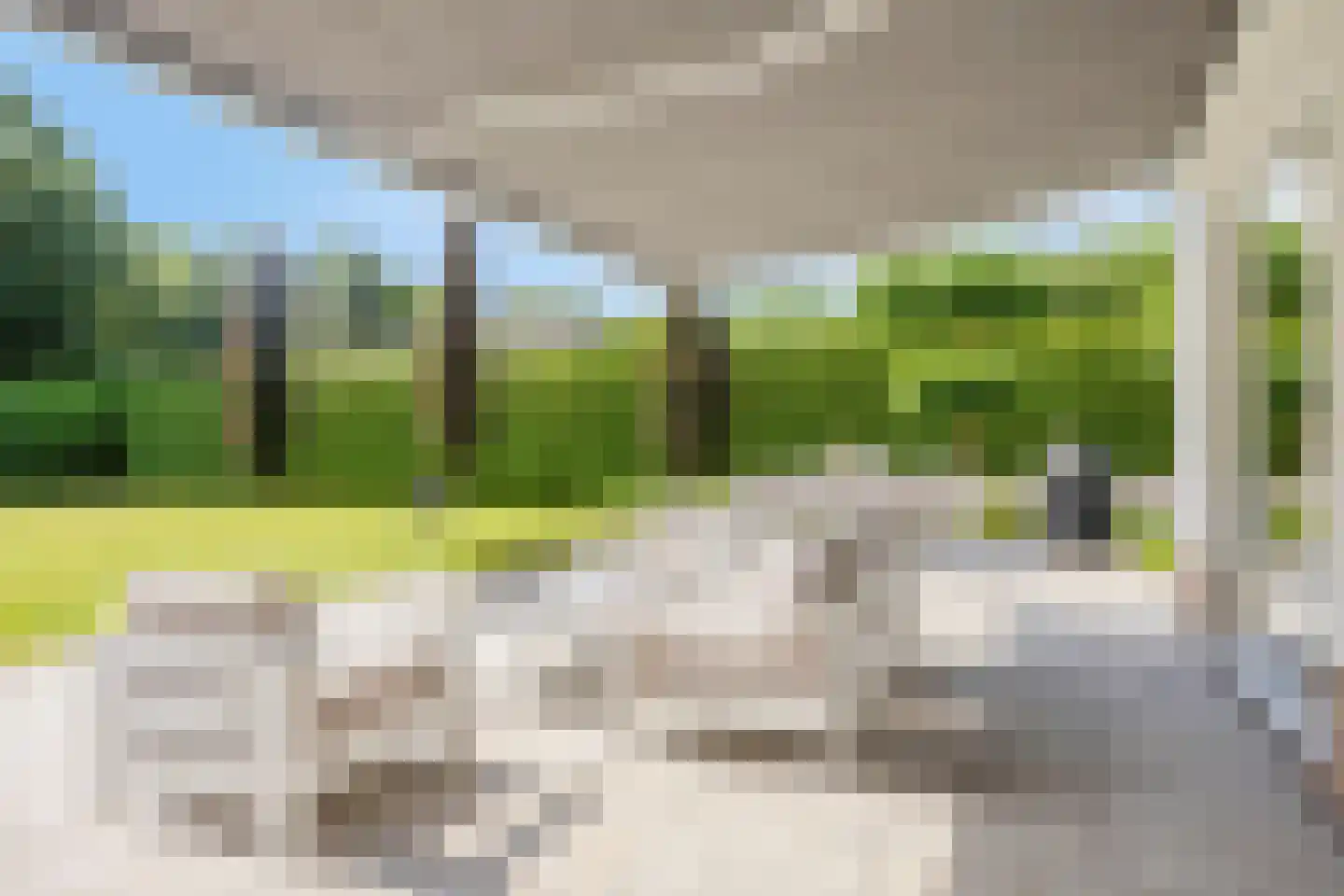 Loetbos 5 Almere thumbnail 24