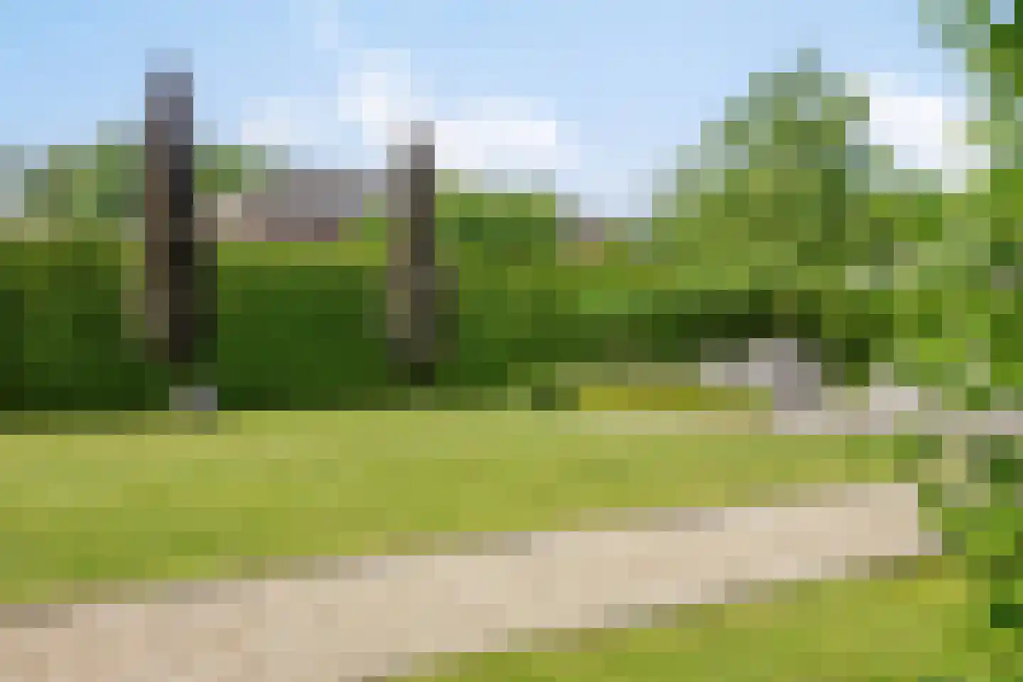 Loetbos 5 Almere thumbnail 30