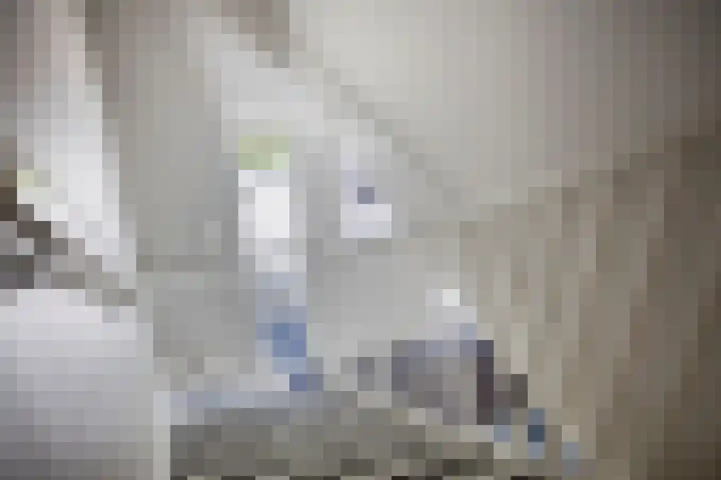 Loetbos 5 Almere thumbnail 31