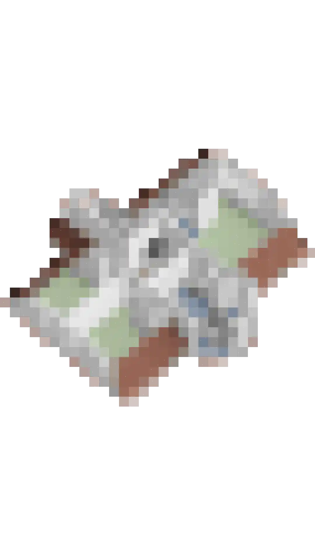 Loetbos 5 Almere thumbnail 49