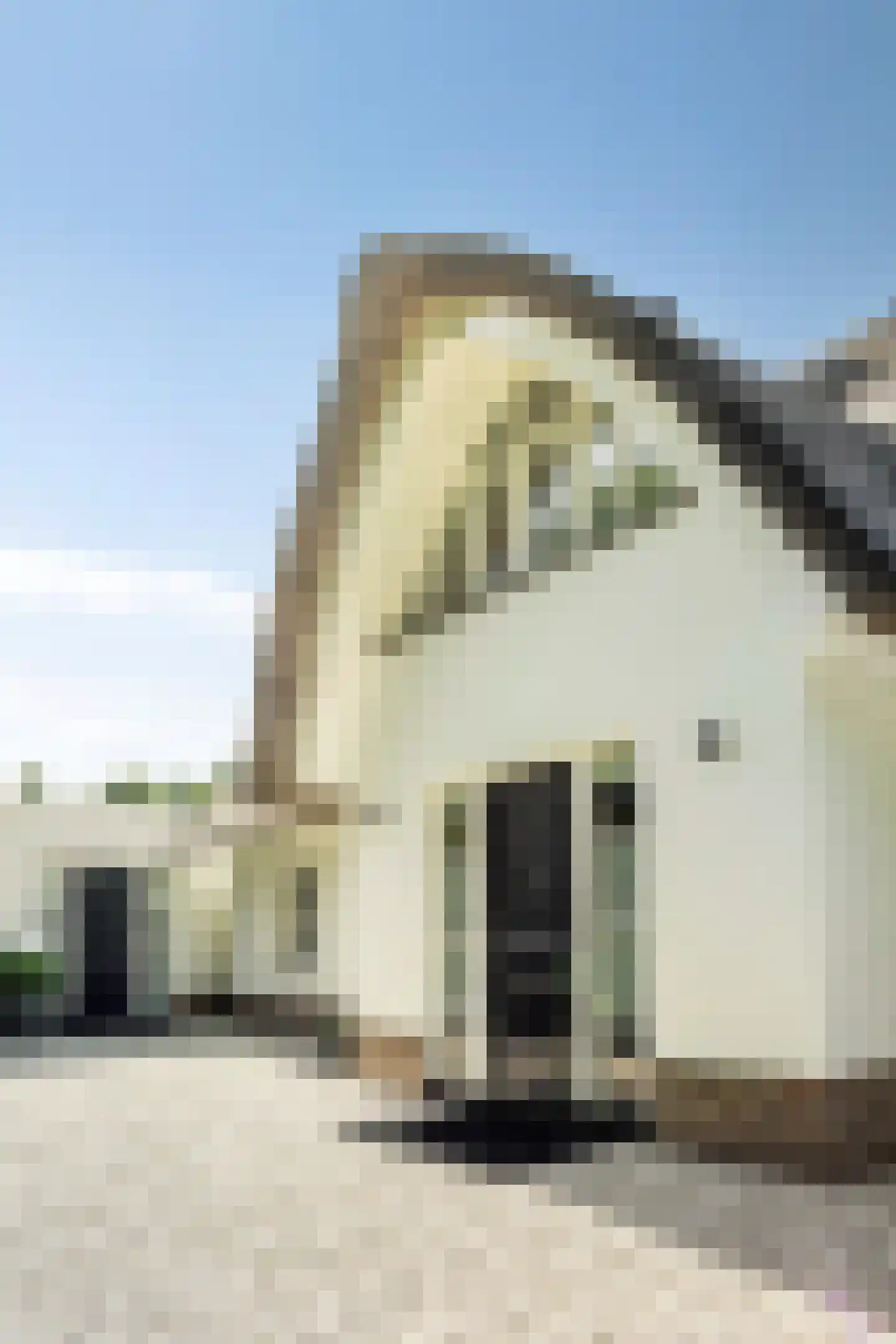 Loetbos 5 Almere thumbnail 8