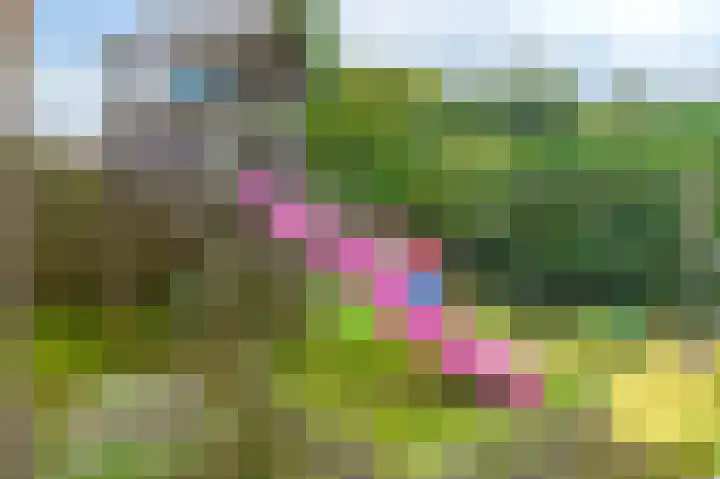 Loete 24 Jubbega thumbnail 12