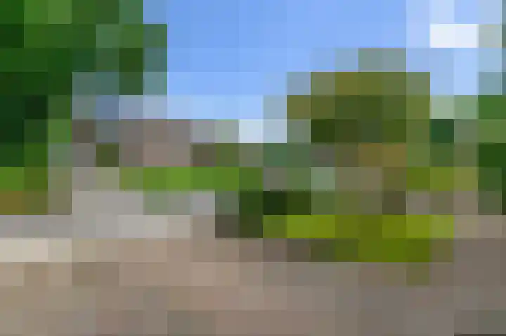 Loete 24 Jubbega thumbnail 14